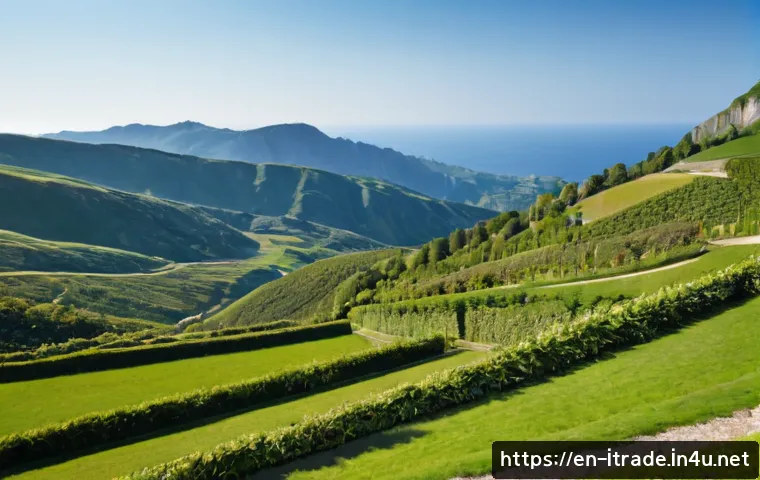 Key International Trade Subjects to Study Before Choosing a Course or Career Path 4 국제무역중점과목 관련 이미지 2